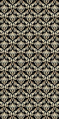 Ковровая дорожка SUNRISE V821 BLACK-BROWN