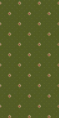 Ковровая VALENCIA DELUXE P023 GREEN