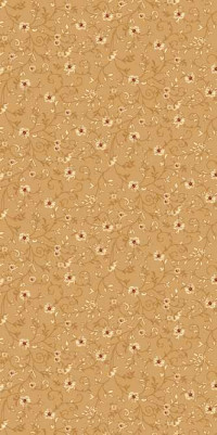 Ковровая VALENCIA DELUXE P019 BEIGE